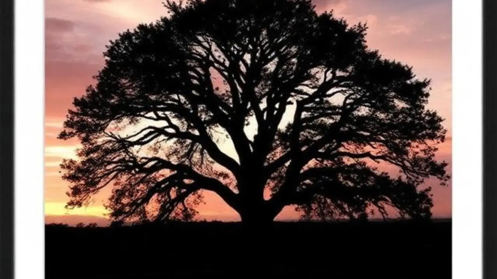 One Tree Hill Instagram captions
